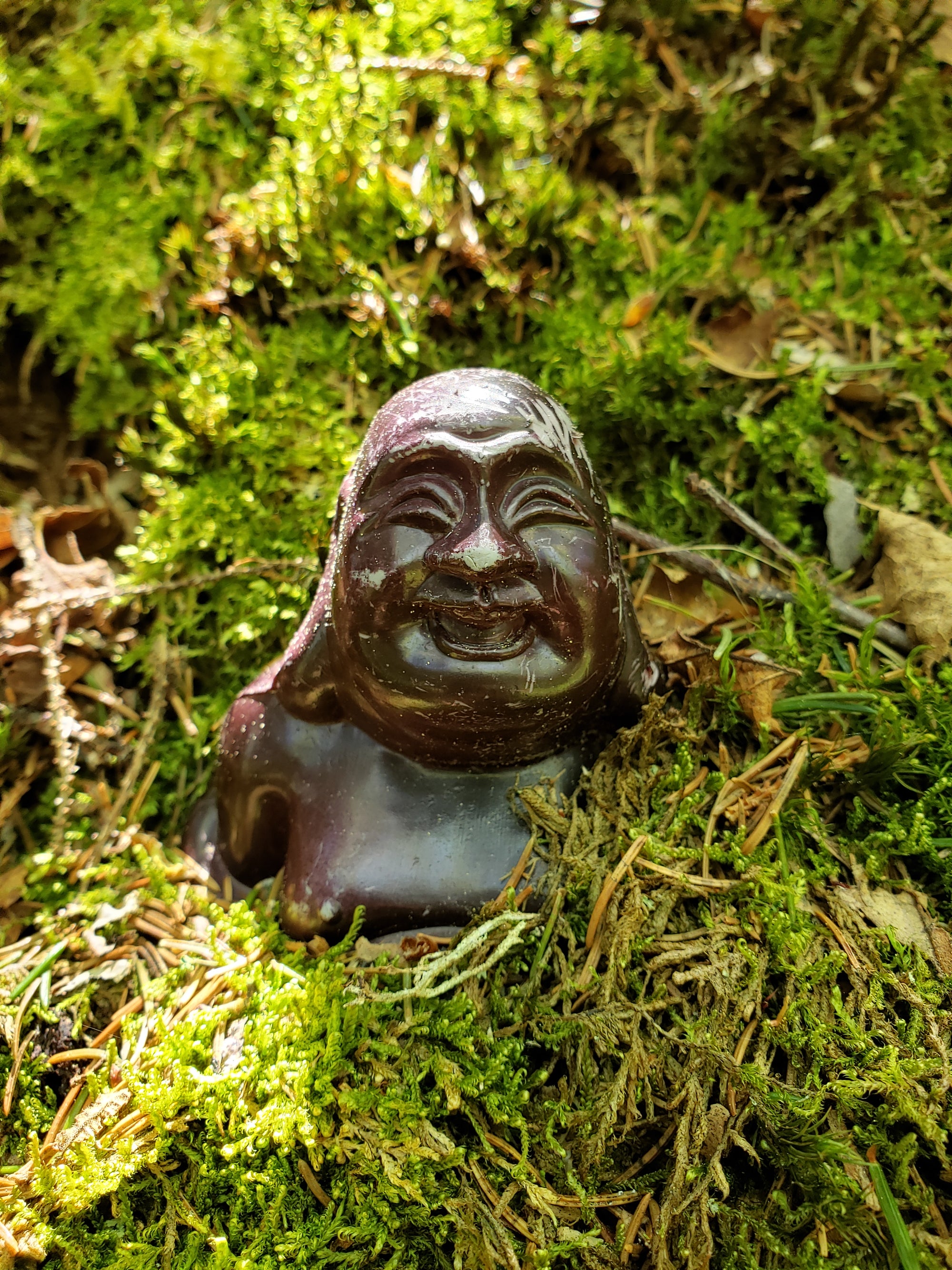Carved stone figure of a face on a mossy background