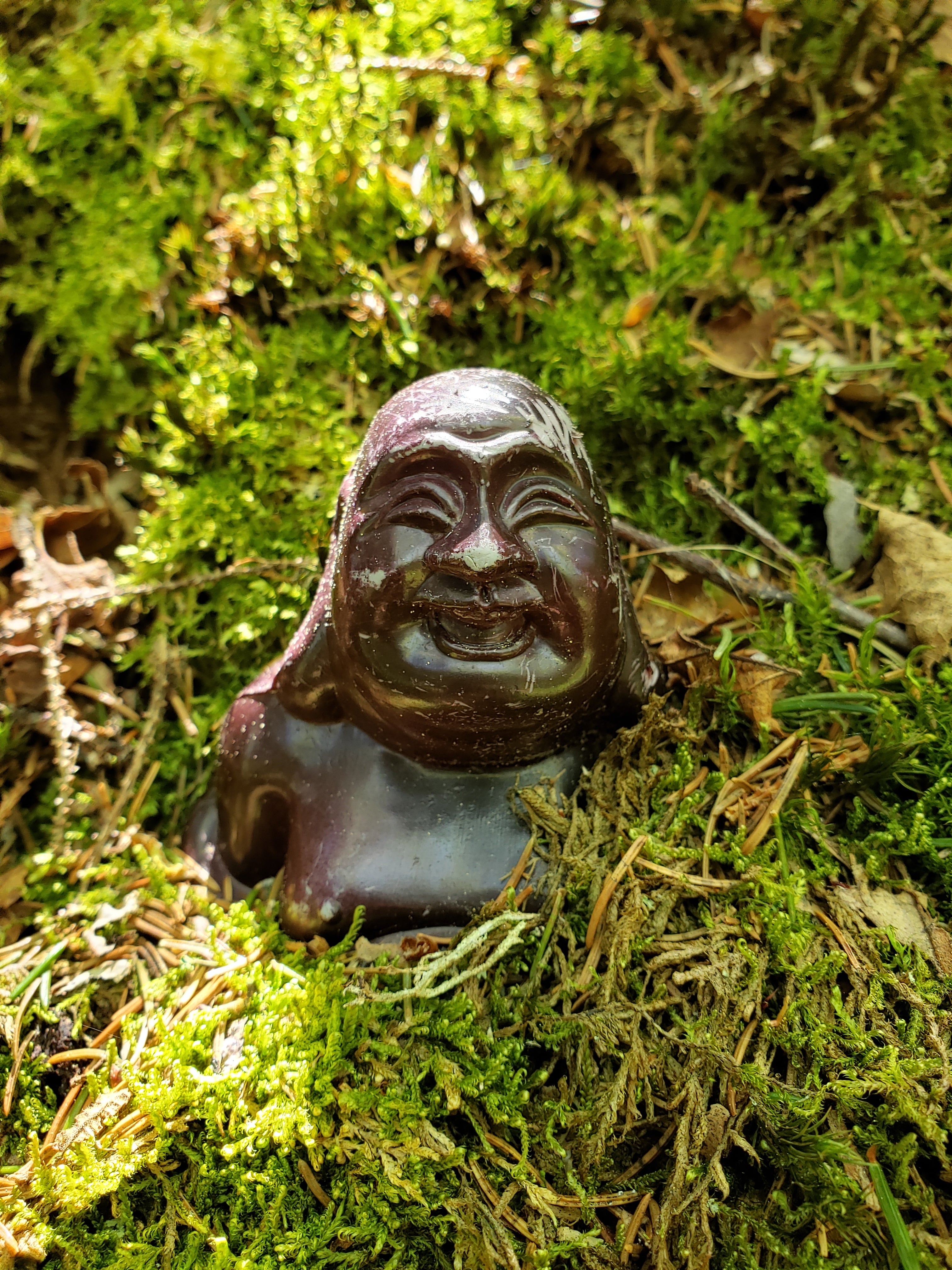 Carved stone figure of a face on a mossy background