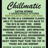 Chillmatic (6 Feminized Seeds)
