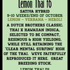 Lemon Thai f6 (12 Regular Seeds)