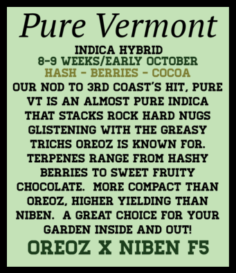 Pure Vermont (6 Feminized Seeds)