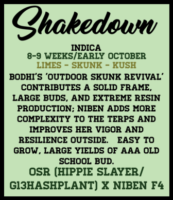 Shakedown (12 Regular Seeds)