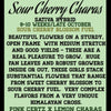 Sour Cherry Charas (12 Regular Seeds)