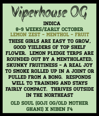 Viperhouse OG (6 Feminized Seeds)
