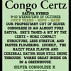 Congo Certz (6 Feminized Seeds)