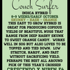 Couchsurfer (6 Feminized Seeds)