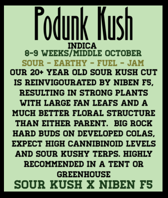 Podunk Kush (6 Feminized Seeds)