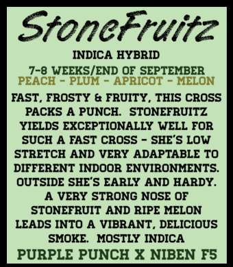 Stonefruitz (6 Feminized Seeds)